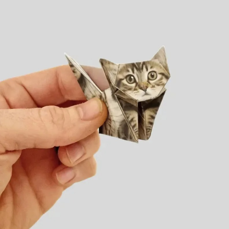 Yaratıcı Kendin Yap Kağıt Kedi - Art Craft Dinosaurs incelemesi ve fiyatı