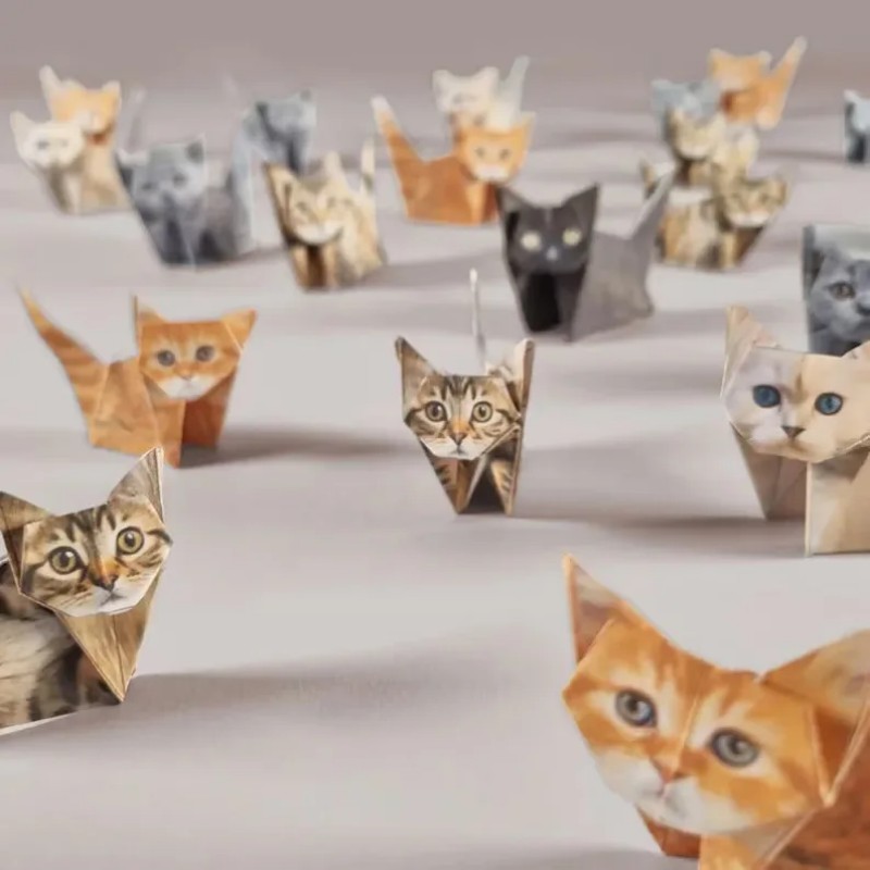 Yaratıcı Kendin Yap Kağıt Kedi - Art Craft Dinosaurs incelemesi ve fiyatı