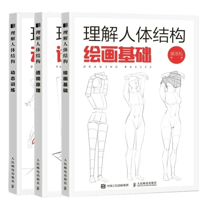 İnsan vücudu yapısını anlamak: - Chinese Art Craft incelemesi ve fiyatı