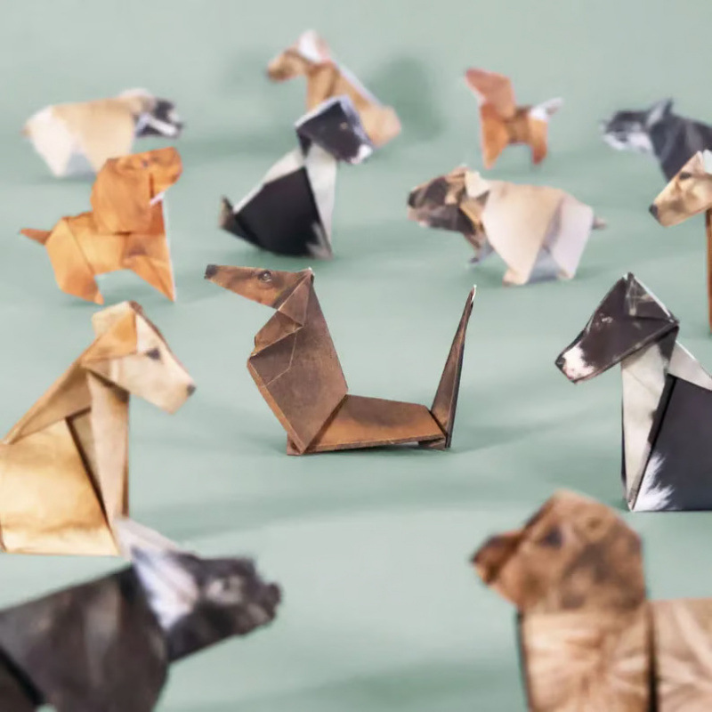 Yaratıcı Kendin Yap Kağıt Kedi - Art Craft Dinosaurs incelemesi ve fiyatı