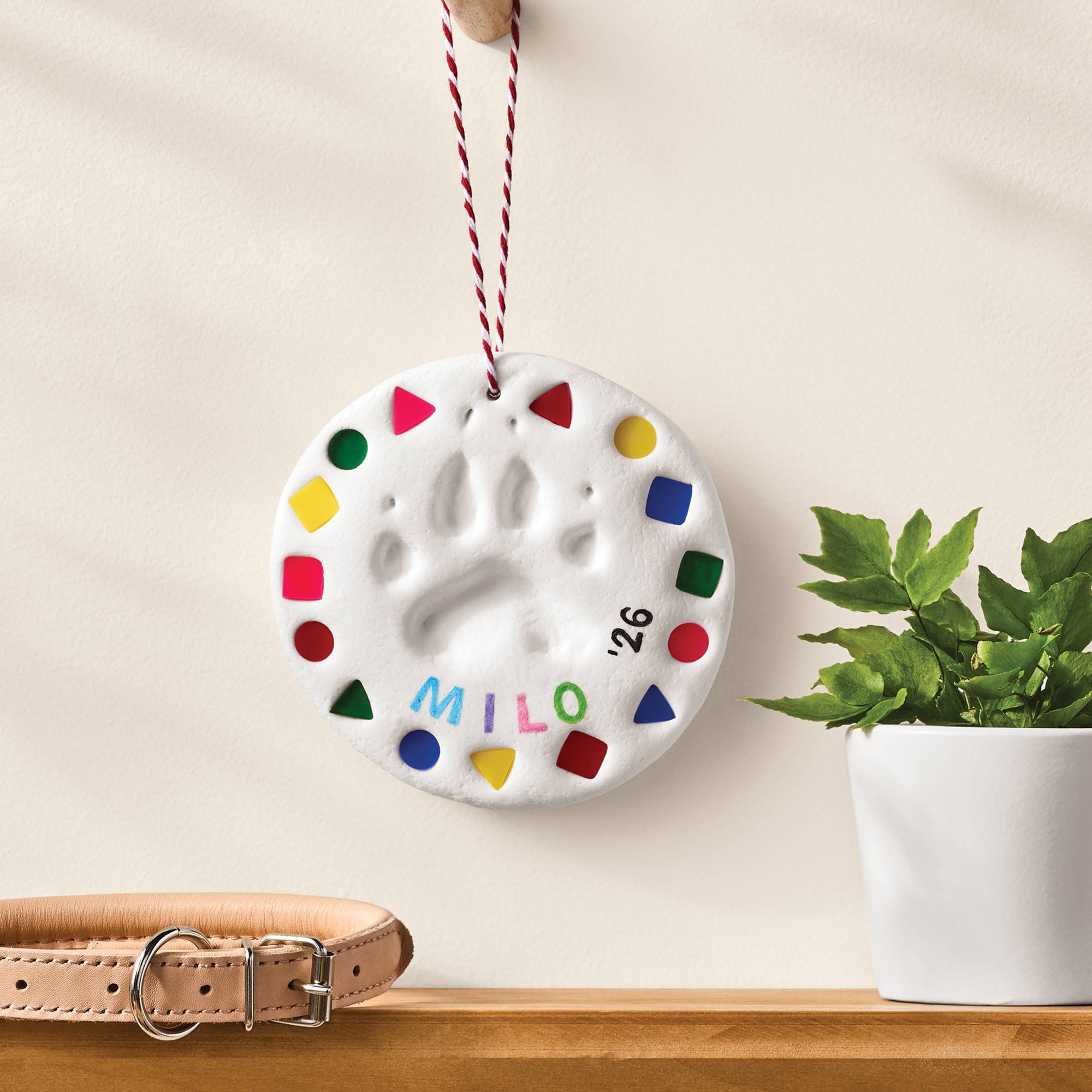 Evcil Hayvanlar İçin Hava ile  - Air Dry Clay incelemesi ve fiyatı